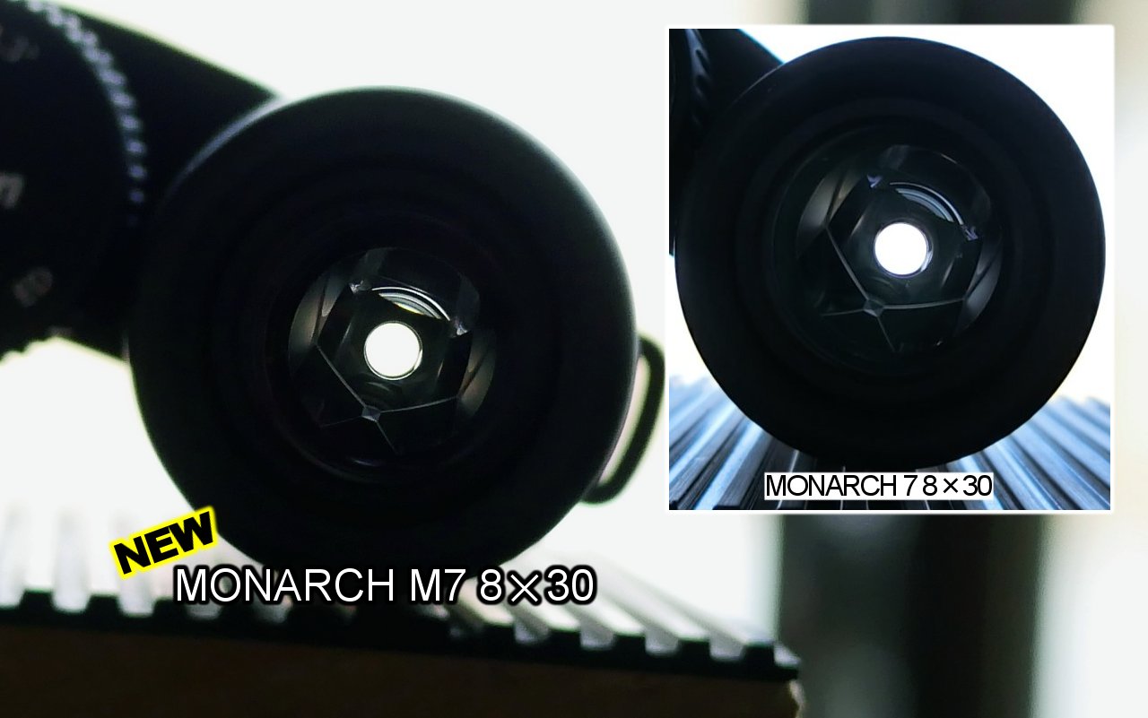 美品 Nikon モナーク M7（MONARCH M7）8×30 [8倍]